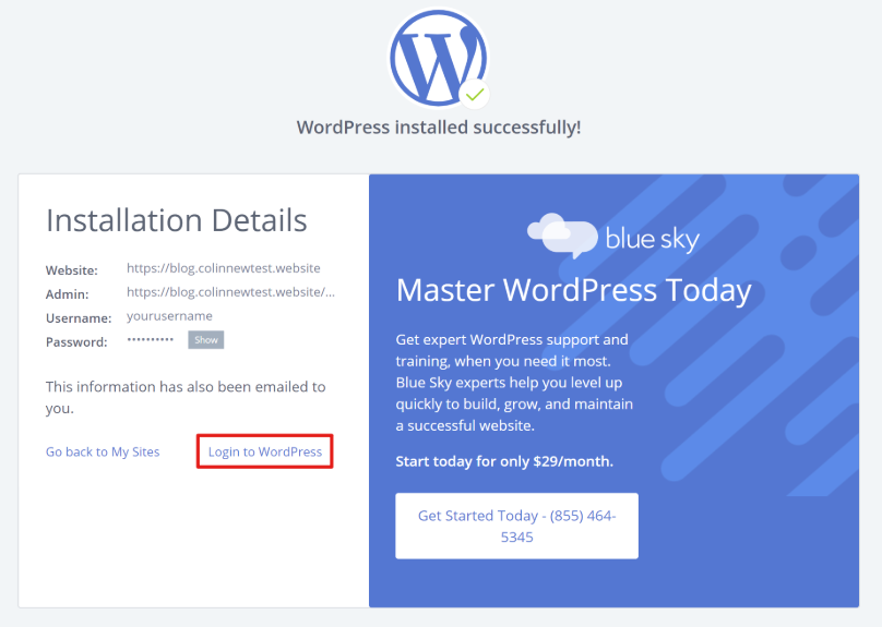 Your WordPress blog details