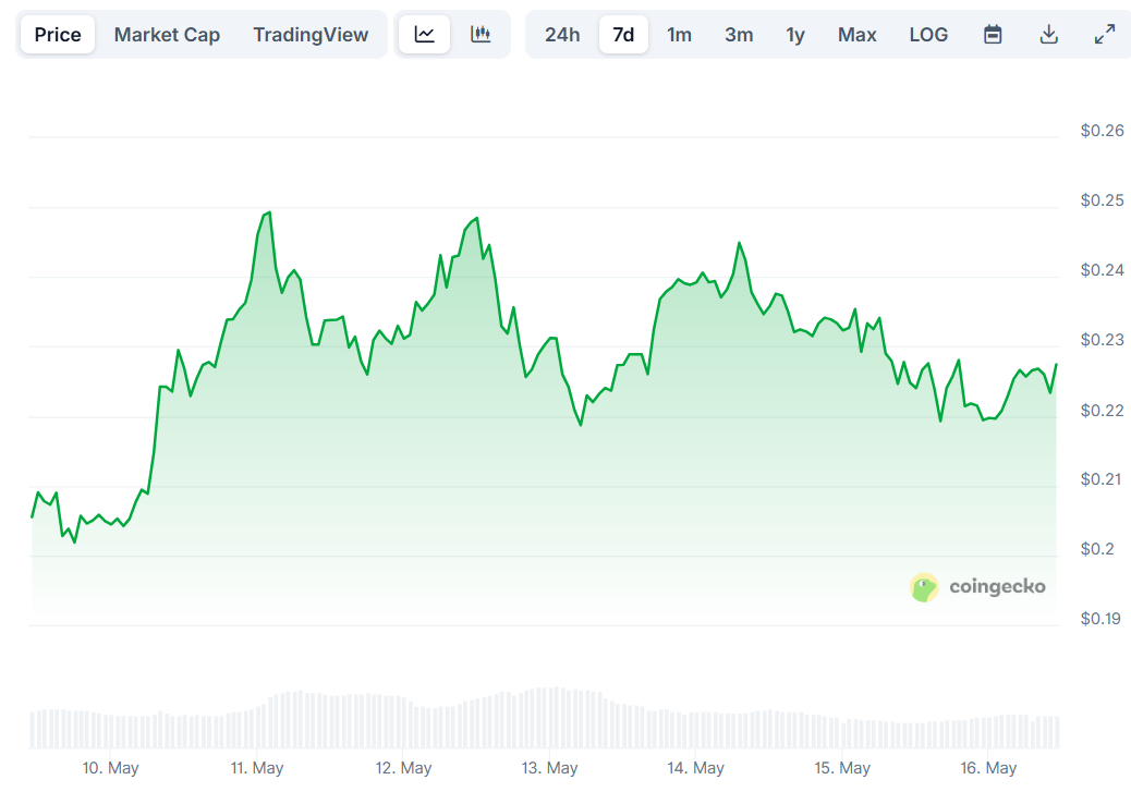 doge price