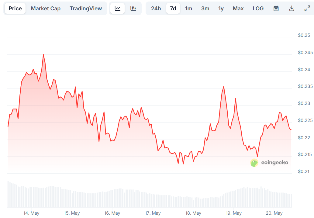 doge price