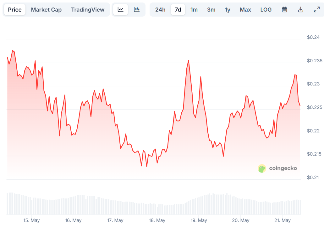 doge price