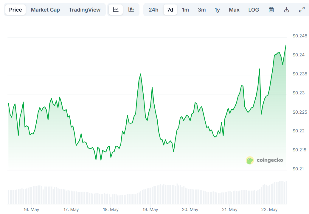doge price