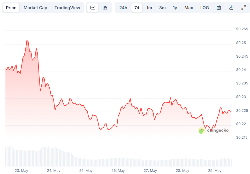 doge price