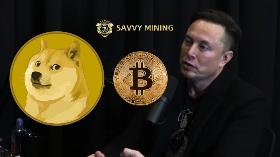 DOGE Price Prediction