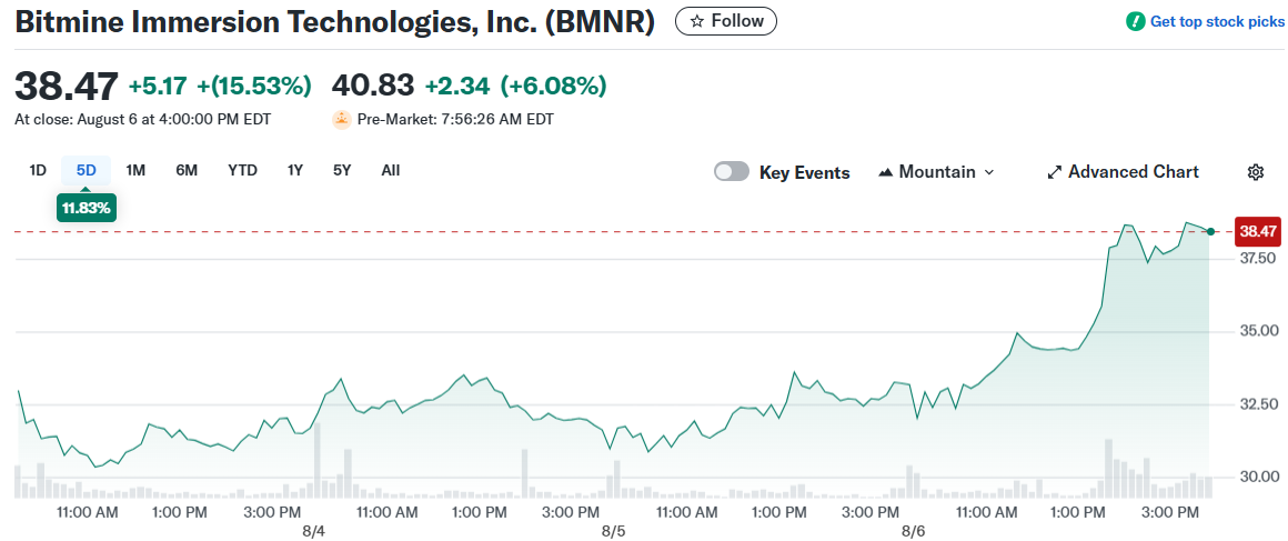 Bitmine Immersion Technologies, Inc. (BMNR)