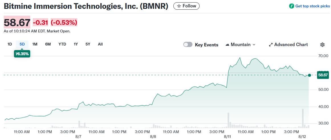 Bitmine Immersion Technologies, Inc. (BMNR)