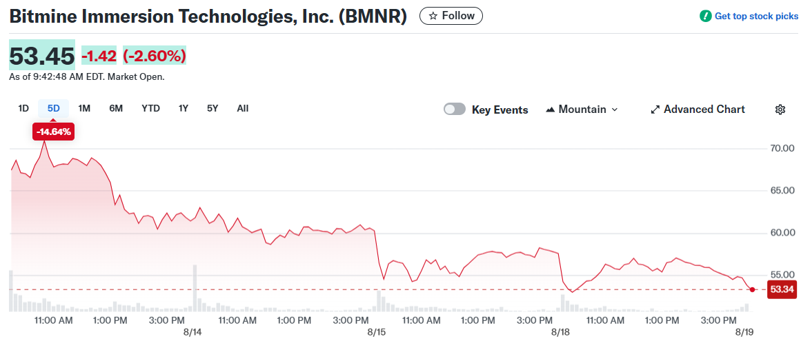 Bitmine Immersion Technologies, Inc. (BMNR)