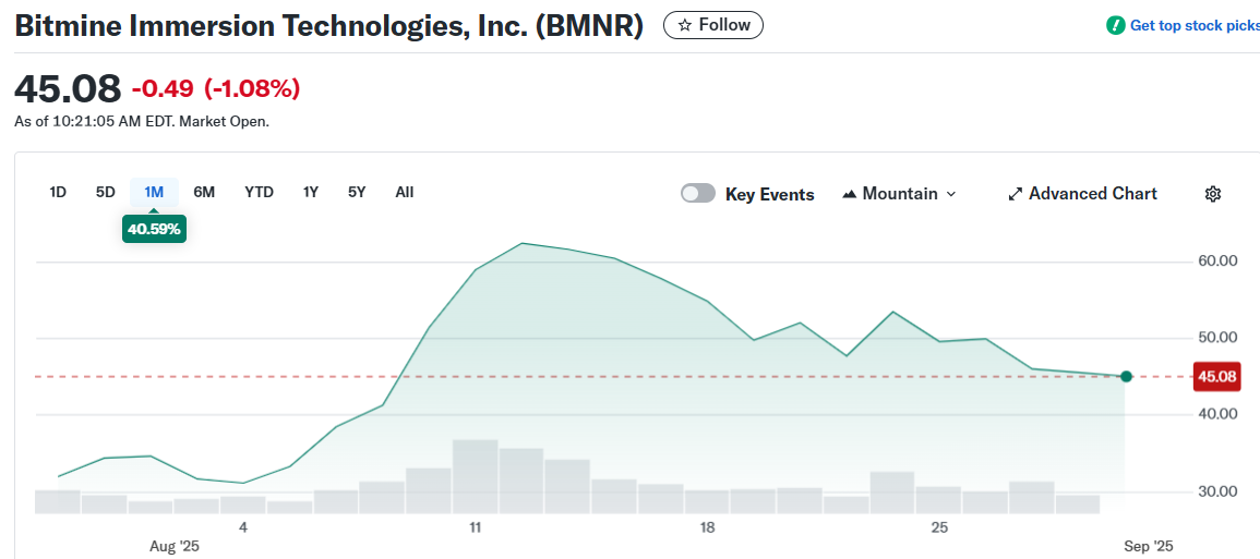 Bitmine Immersion Technologies, Inc. (BMNR)