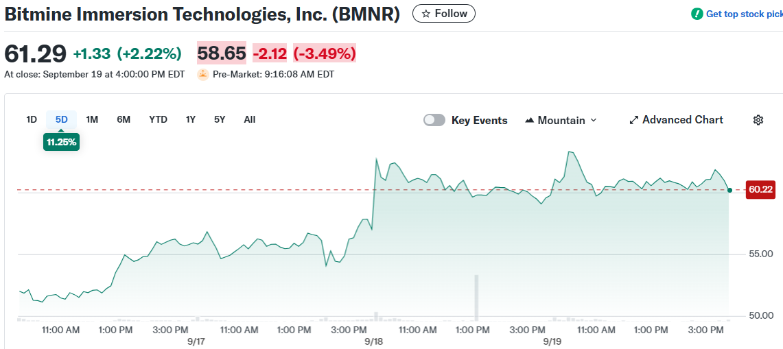 Bitmine Immersion Technologies, Inc. (BMNR)