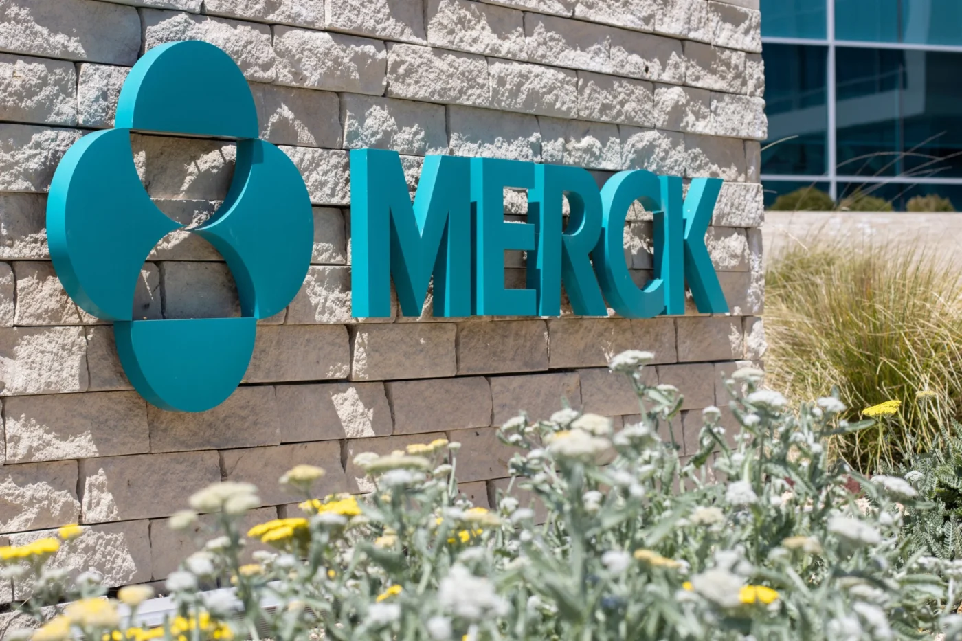 Merck (MRK) Seals $6.7B Deal for Terns Pharmaceuticals (TERN) to Expand Oncology Portfolio