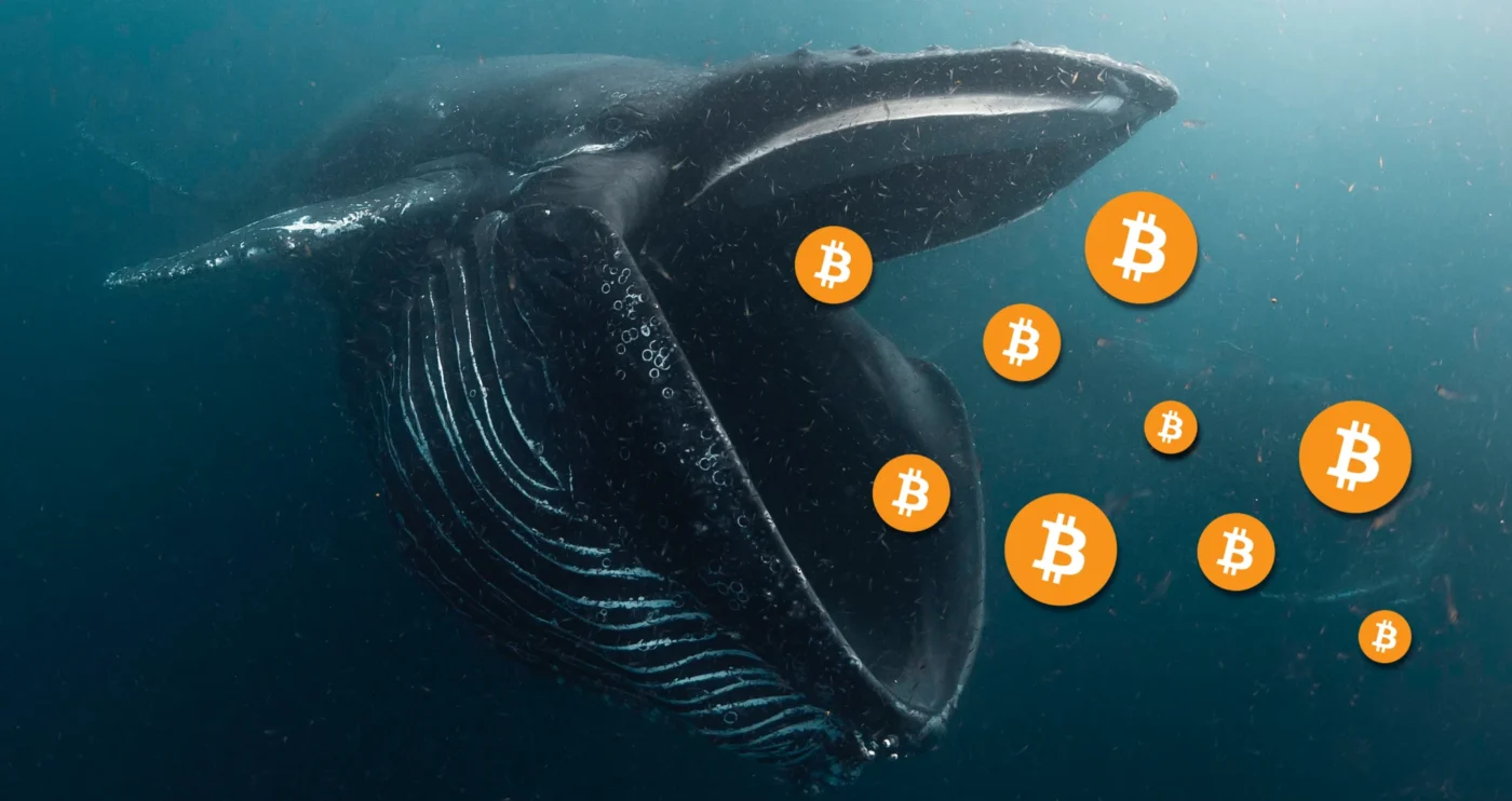 Early Bitcoin Holder Moves $203 Million in BTC to Major Trading Platforms