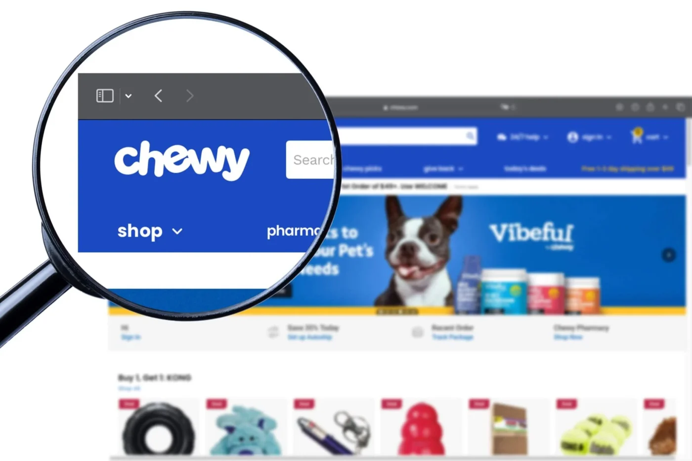 Chewy (CHWY) Stock Slides After Lowered Full-Year Revenue Forecast