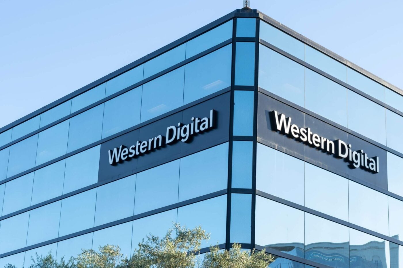 Western Digital (WDC) Stock Plummets 15% Despite Strong Earnings Beat